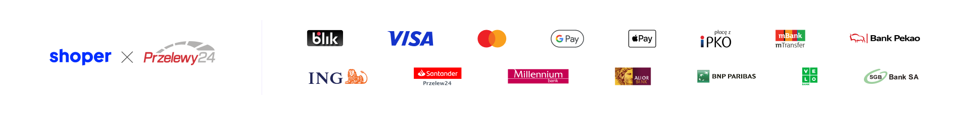 Płatności w sklepie